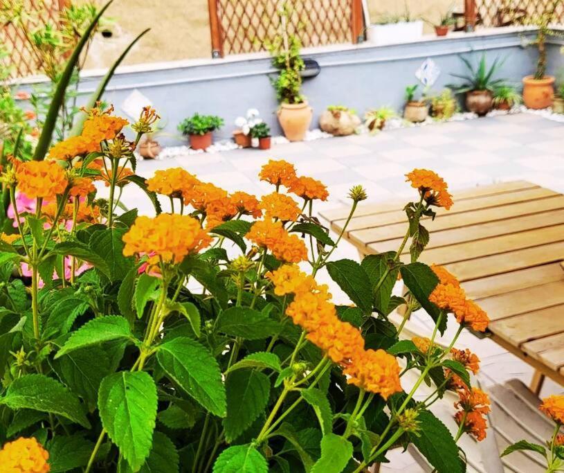 Casetta Poli- Appartamento Con Terrazza - Centro Storico Παλέρμο Εξωτερικό φωτογραφία